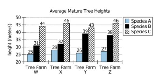 Tree Height Data Graph Graph showing average mature tree heights of Species A-C at Tree Farms W-Z