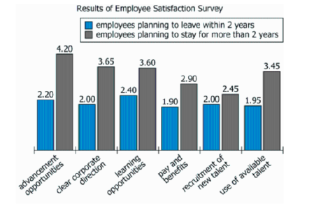 Employee Satisfaction Survey Data Employee satisfaction survey graph showing average ratings by category