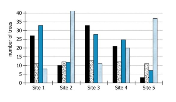 Coniferous Trees Distribution Graph Graph showing number of coniferous trees by species at different sites