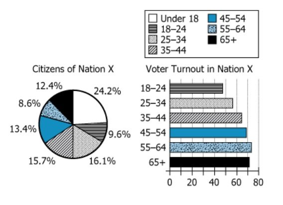 Nation X Voting Statistics Charts Graphs showing age distribution and voter turnout data for Nation X