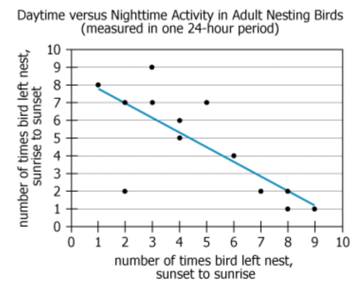 Bird Nesting Data Analysis Chart Chart showing bird nesting behavior data over 24-hour period