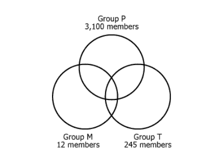 Stockholder Groups Venn Diagram Diagram showing relationships between stockholder groups