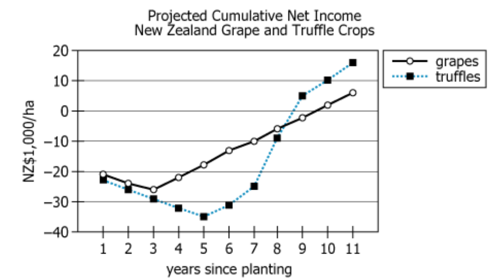 Cumulative Net Income Comparison Chart Graph showing projected cumulative net income for grape and truffle crops over 11 years